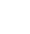 Conference Format